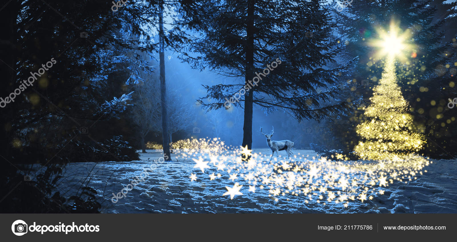 Magic Christmas Scene Woods Deer Glowing Christmas Tree Stock Photo by