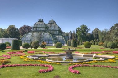 Viyana, Avusturya'da seyahat sırasında yapılan gezigündüz görünümü 