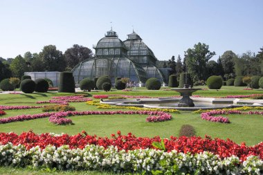 Viyana, Avusturya'da seyahat sırasında yapılan gezigündüz görünümü 