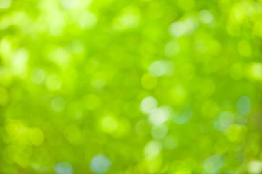 soyut bulanık yeşil arkaplan