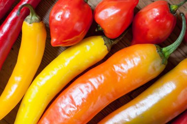 Renkli biber biber, görünümü kapatın