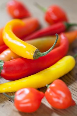 Renkli biber biber, görünümü kapatın