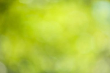 soyut bulanık yeşil arkaplan