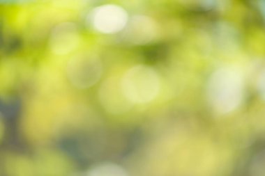 soyut bulanık yeşil arkaplan