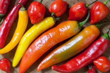 Renkli biber biber, görünümü kapatın