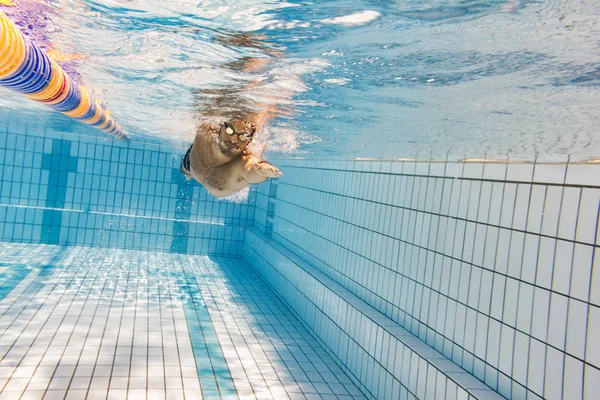 Junger Mann Schwimmt Pool — Stockfoto