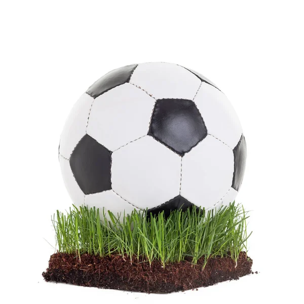 풀밭에 클래식 Soccerball — 스톡 사진
