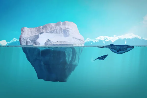 Лед Бассейне Синем Фоне — стоковое фото
