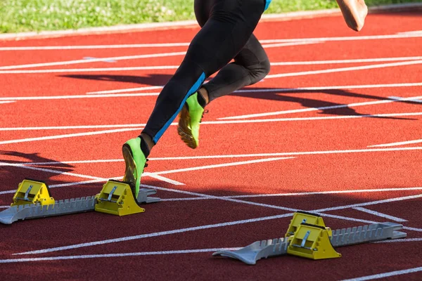 sahada çalışan insanlar