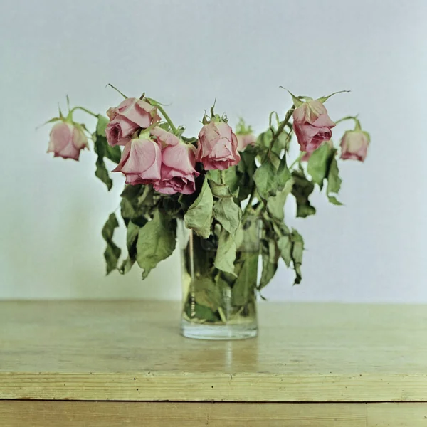 Withered Bunch Roses Shot Mediumformat Film — Stock Photo, Image