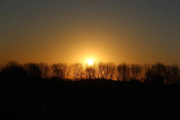 Nascer Sol Calmo Por Trás Das Árvores — Fotografia de Stock