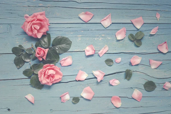 Gül, yaprakları ve yaprakları, vintage görüntü ile mavi ahşap arka plan