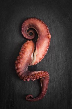 Ahtapot kolu tentacles kayrak tahtası ile