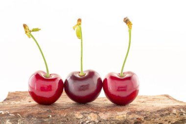 Kiraz, ağaç kabuğu ve beyaz arka plan