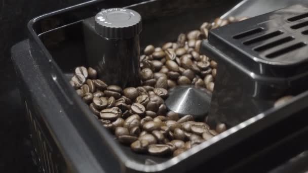 Koffiezetapparaat maalt hele korrels van koffie — Stockvideo