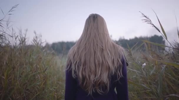 Mujer joven camina hacia adelante entre la hierba alta — Vídeo de stock