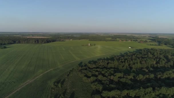 Aerial flying over Dududki located around forests and fields. — Stock Video