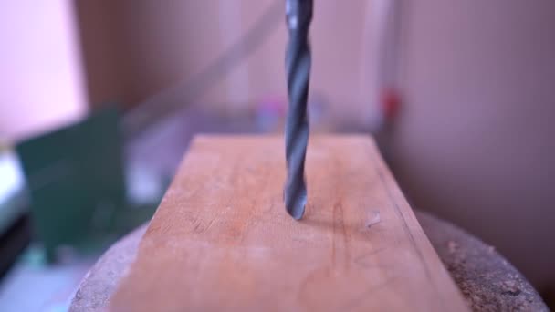 The dril in slow motionl penetrates the board and drills a hole scattering sawdust — Stock Video