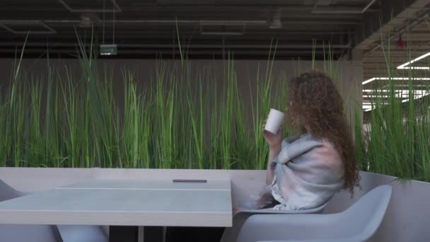 Vista lateral de una mujer joven y bonita con el pelo rojo que está sentado en un café toma el teléfono — Vídeos de Stock