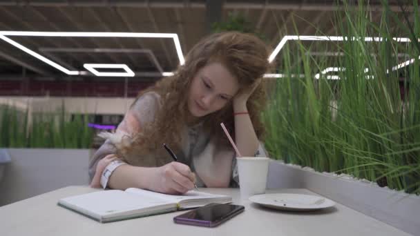 Jeune belle femme aux cheveux roux s'assoit dans un café et écrit dans un carnet — Video