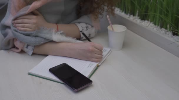 Joven hermosa mujer con el pelo rojo se sienta en un café y escribe en un cuaderno — Vídeos de Stock