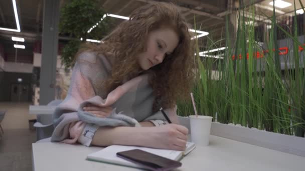 Молода красива жінка з рудим волоссям сидить в кафе і записує в блокнот — стокове відео