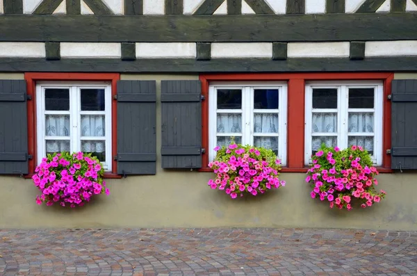 Colmar Şehir Içinde Çiçekli Pencere Eşiği — Stok fotoğraf