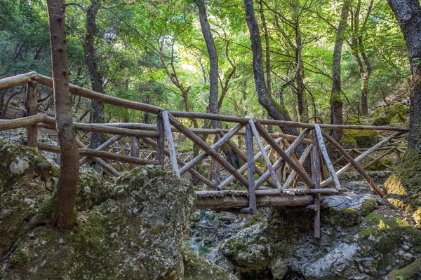 Vallei van de vlinders Peta Loudhes Rhodos Griekenland Europa — Stockfoto