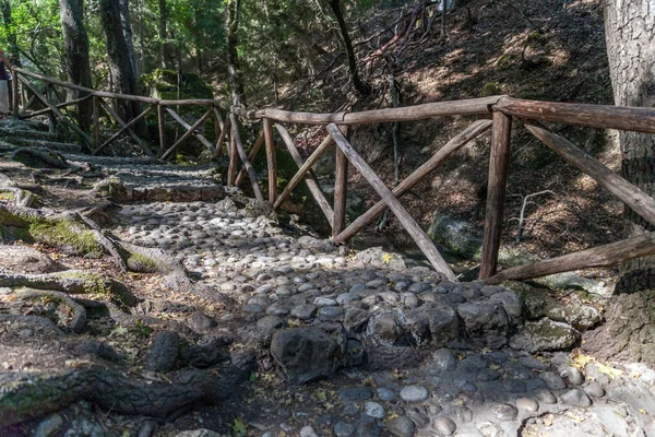 Vallée des Papillons Peta Loudhes Rhodes Grèce Europe — Photo