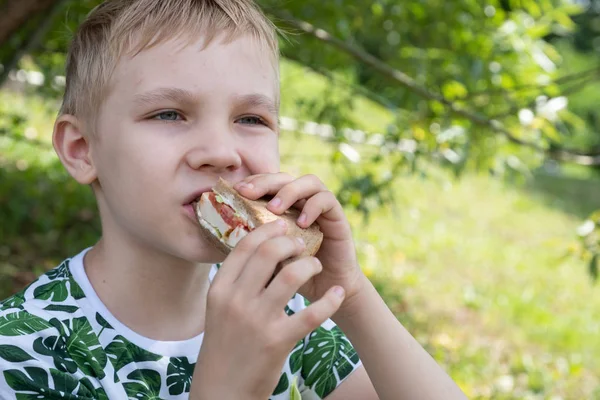 야외에서 샌드위치를 먹는 소년 — 스톡 사진