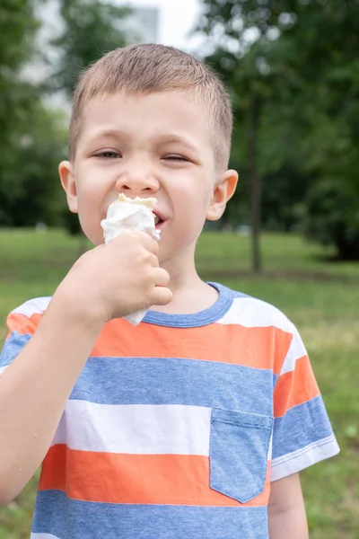 Αστεία παιδιά παιδιά μικρά αγόρια που τρώει παγωτό — Φωτογραφία Αρχείου