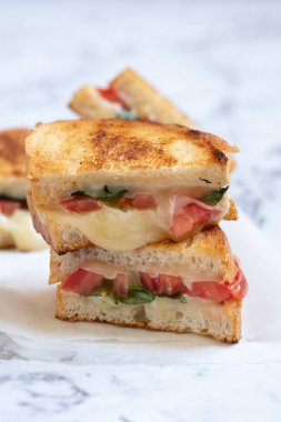 Izgara peynir caprese panini domates, mozzarella ve fesleğen ile