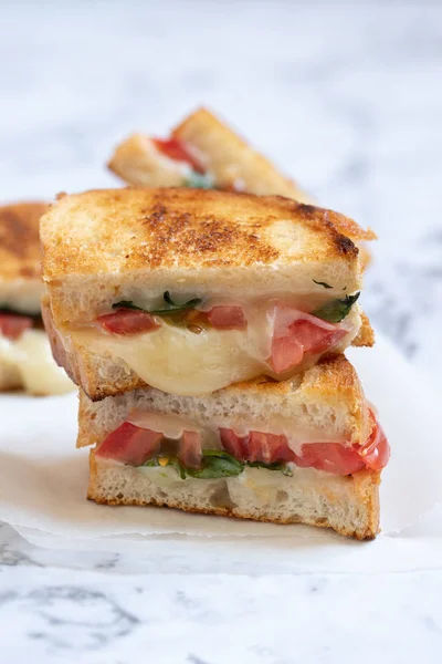 Grillattua juustoa caprese panini tomaatti, mozzarella ja basilika — kuvapankkivalokuva