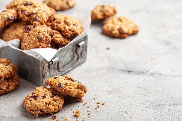 Biscotti di avena con mirtillo rosso e noce pecan — Foto Stock