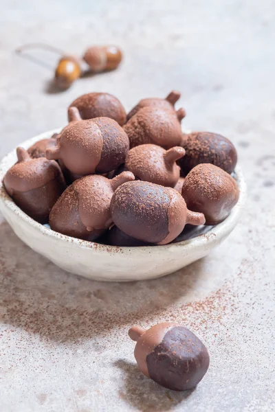 Acorn chocolate cake pops — Stock Photo, Image