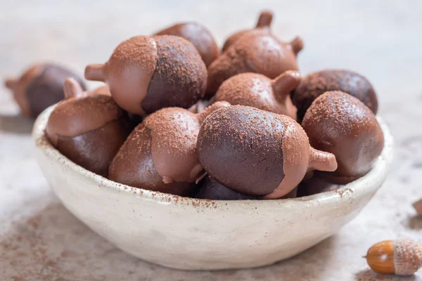 Acorn chocolate cake pops — Stock Photo, Image