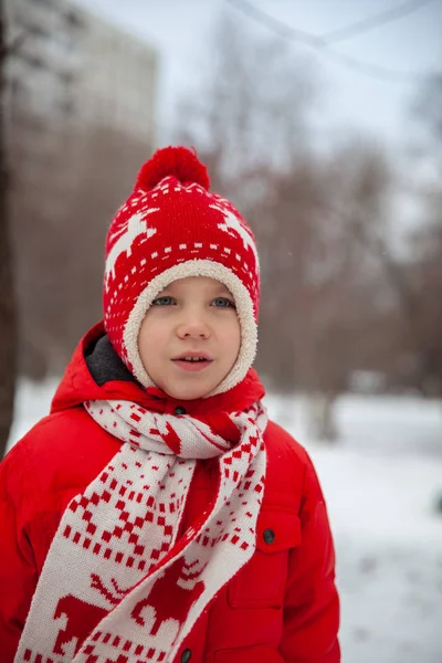 Зимний Портрет Мальчика Красочной Одежде Активный Отдых Детьми Холодные Снежные — стоковое фото