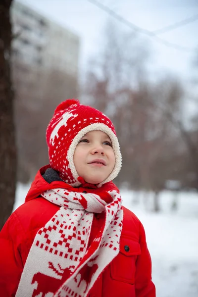 穿着五颜六色衣服的小男孩的冬季肖像 — 图库照片