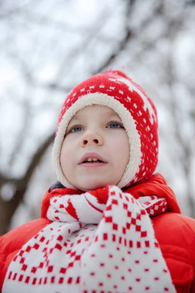 Χειμερινό πορτρέτο του αγοριού με πολύχρωμα ρούχα — Φωτογραφία Αρχείου