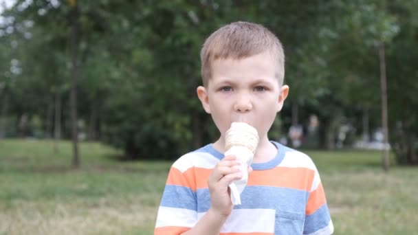 Lustige Kinder Kinder kleine Jungen essen Eis — Stockvideo
