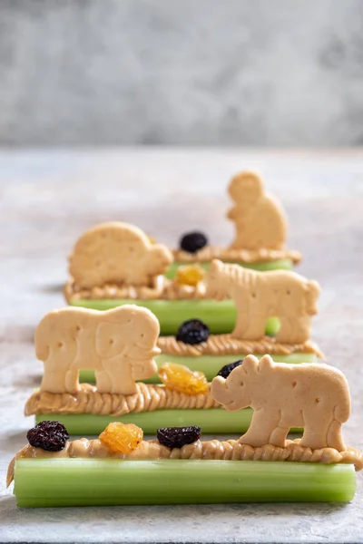 Ants on a Log Snack with Celery Peanut Butter, Raisins and Cookie — Stock Photo, Image