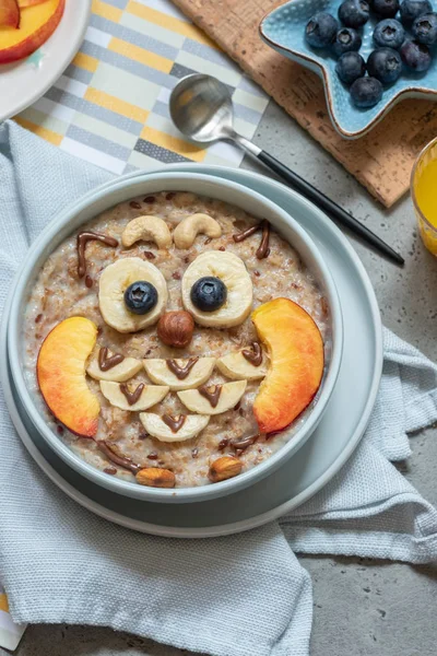 子供のためのフクロウ形の朝食オートミールのお粥. — ストック写真