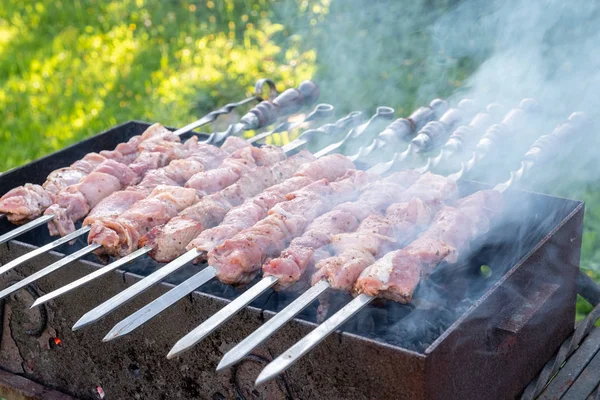 Marinated shashlik preparing on a barbecue grill — Stock Photo, Image