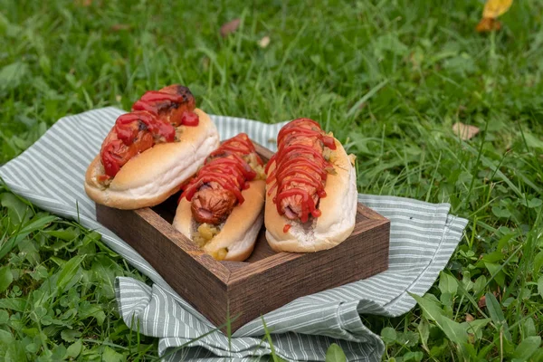Grilled hot dogs with ketchup and relish on a picnic table — Stock Photo, Image