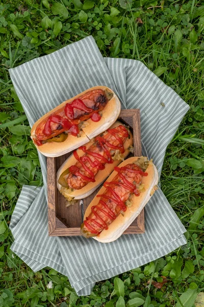 Grilled hot dogs with ketchup and relish on a picnic table — Stock Photo, Image