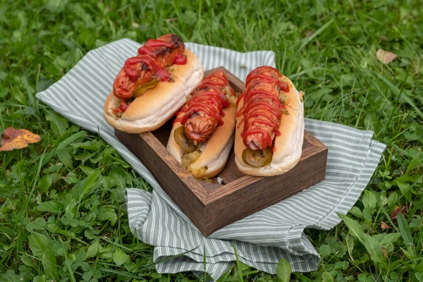 Hot dog panggang dengan saus tomat dan menikmati di meja piknik — Stok Foto