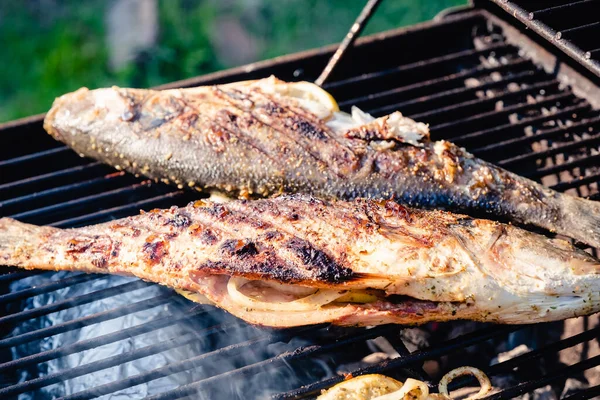 Grilled Sea Bass on a grill — Stock Photo, Image