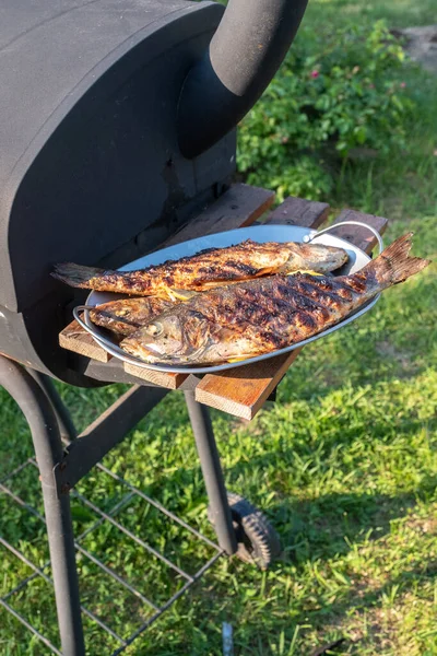 Grillowany Sea Bass na grillu — Zdjęcie stockowe