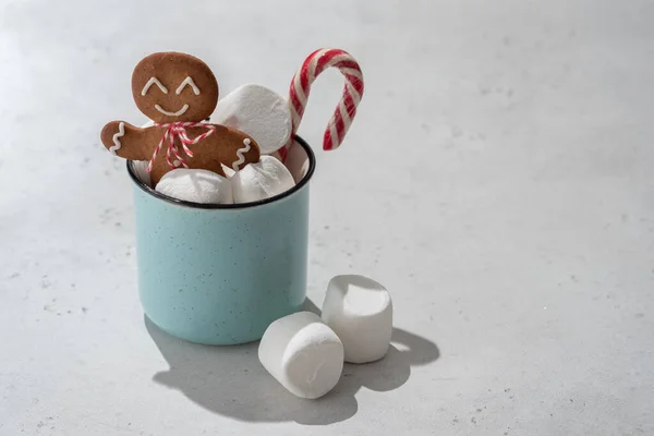 Кубок традиційного гарячого шоколаду з зефіром та імбирним печивом — стокове фото