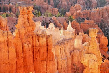 Bryce Canyon ülke. Milli Park içinde turuncu kaya.